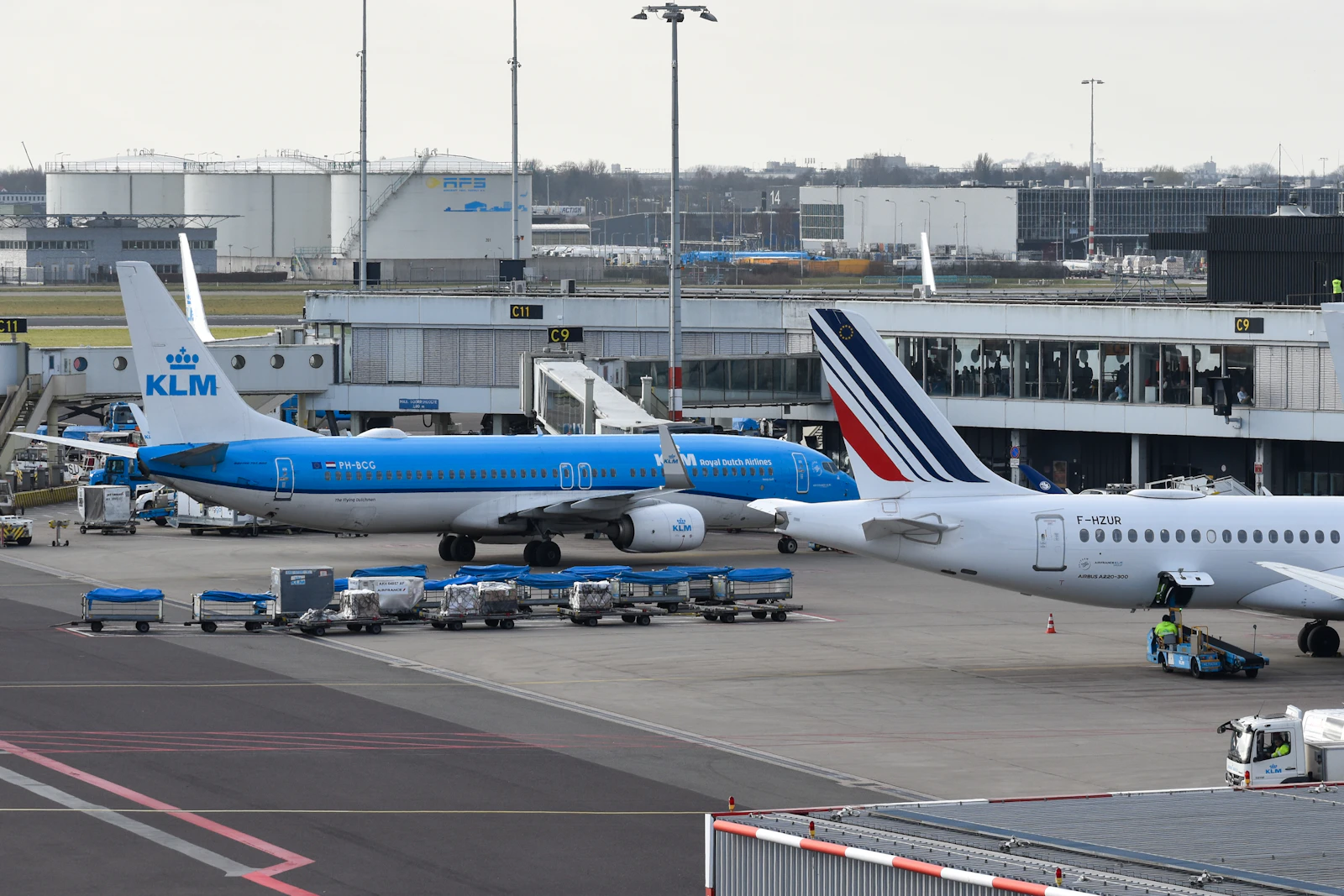 Vliegtuigen bij de gates van Schiphol